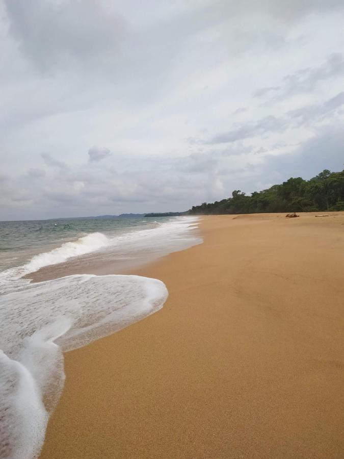 La Luciernaga Big Creek Bed & Breakfast Bocas Town Ngoại thất bức ảnh