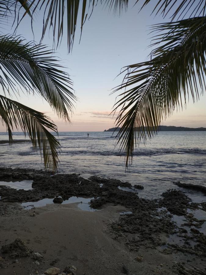 La Luciernaga Big Creek Bed & Breakfast Bocas Town Ngoại thất bức ảnh
