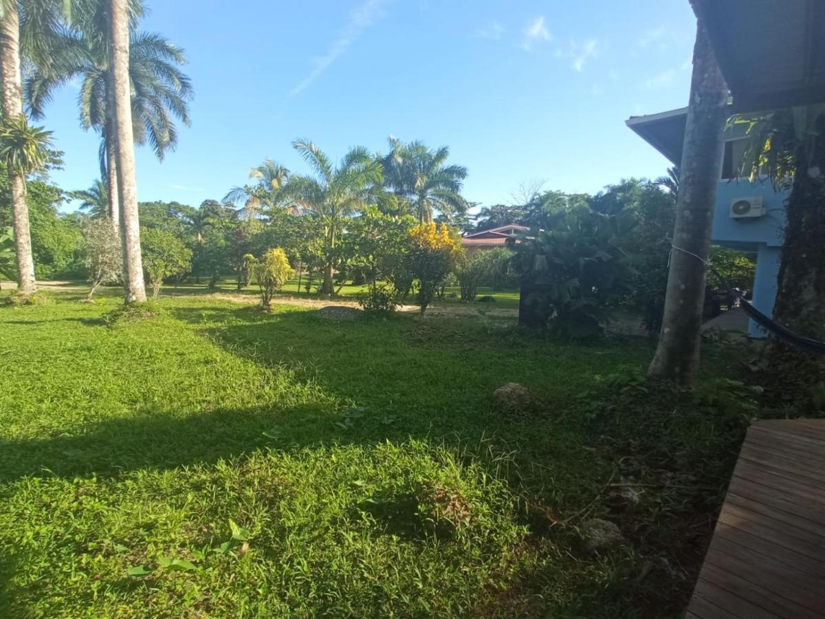 La Luciernaga Big Creek Bed & Breakfast Bocas Town Ngoại thất bức ảnh