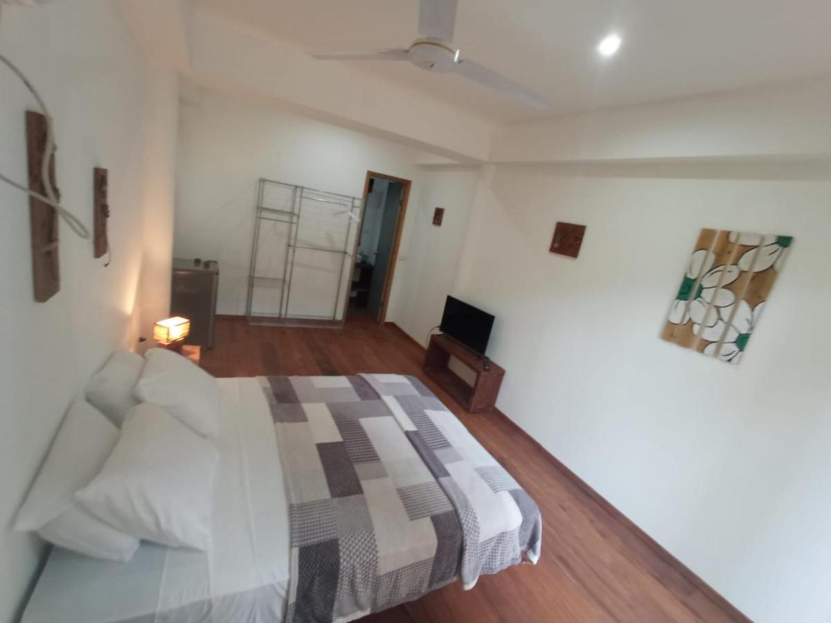 La Luciernaga Big Creek Bed & Breakfast Bocas Town Ngoại thất bức ảnh