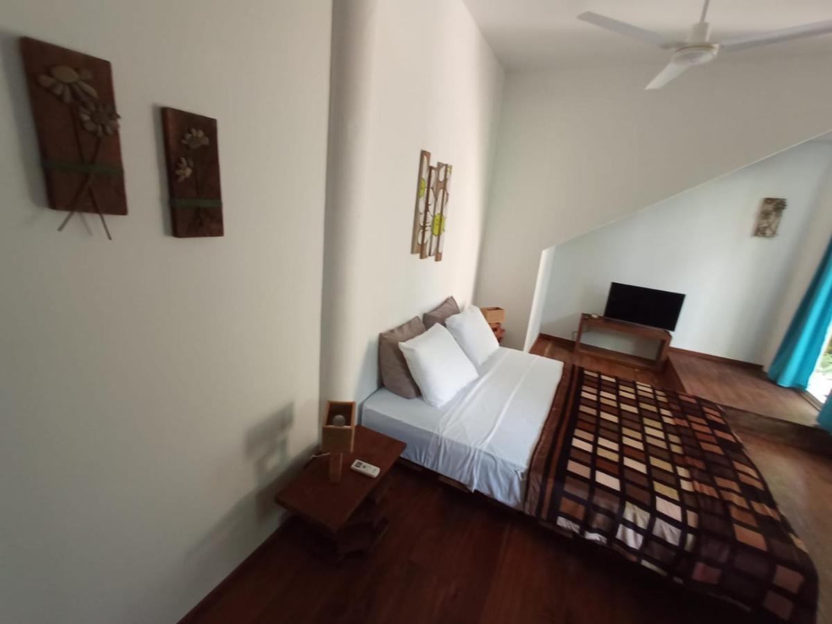 La Luciernaga Big Creek Bed & Breakfast Bocas Town Ngoại thất bức ảnh