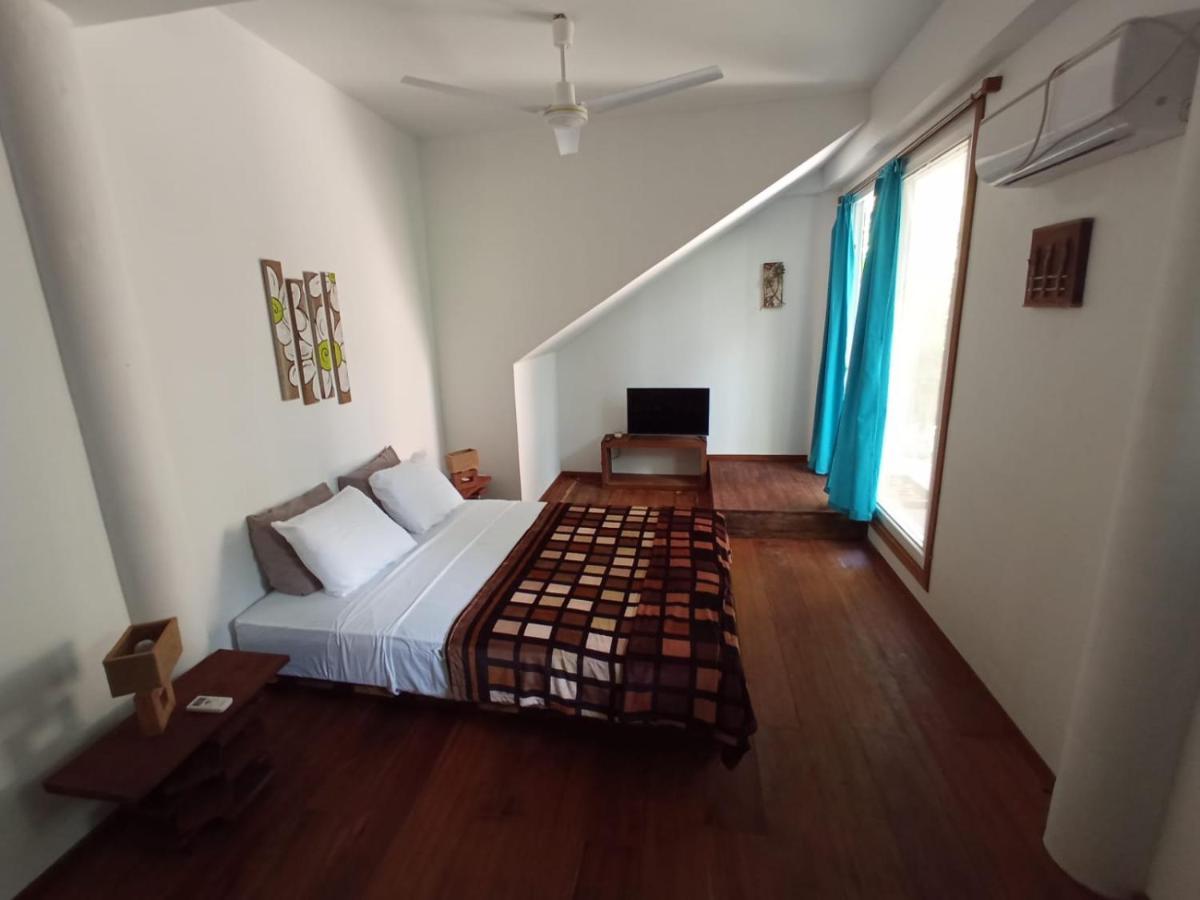 La Luciernaga Big Creek Bed & Breakfast Bocas Town Ngoại thất bức ảnh