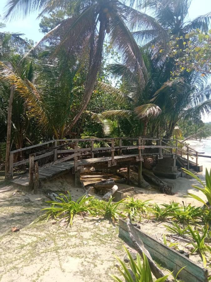 La Luciernaga Big Creek Bed & Breakfast Bocas Town Ngoại thất bức ảnh