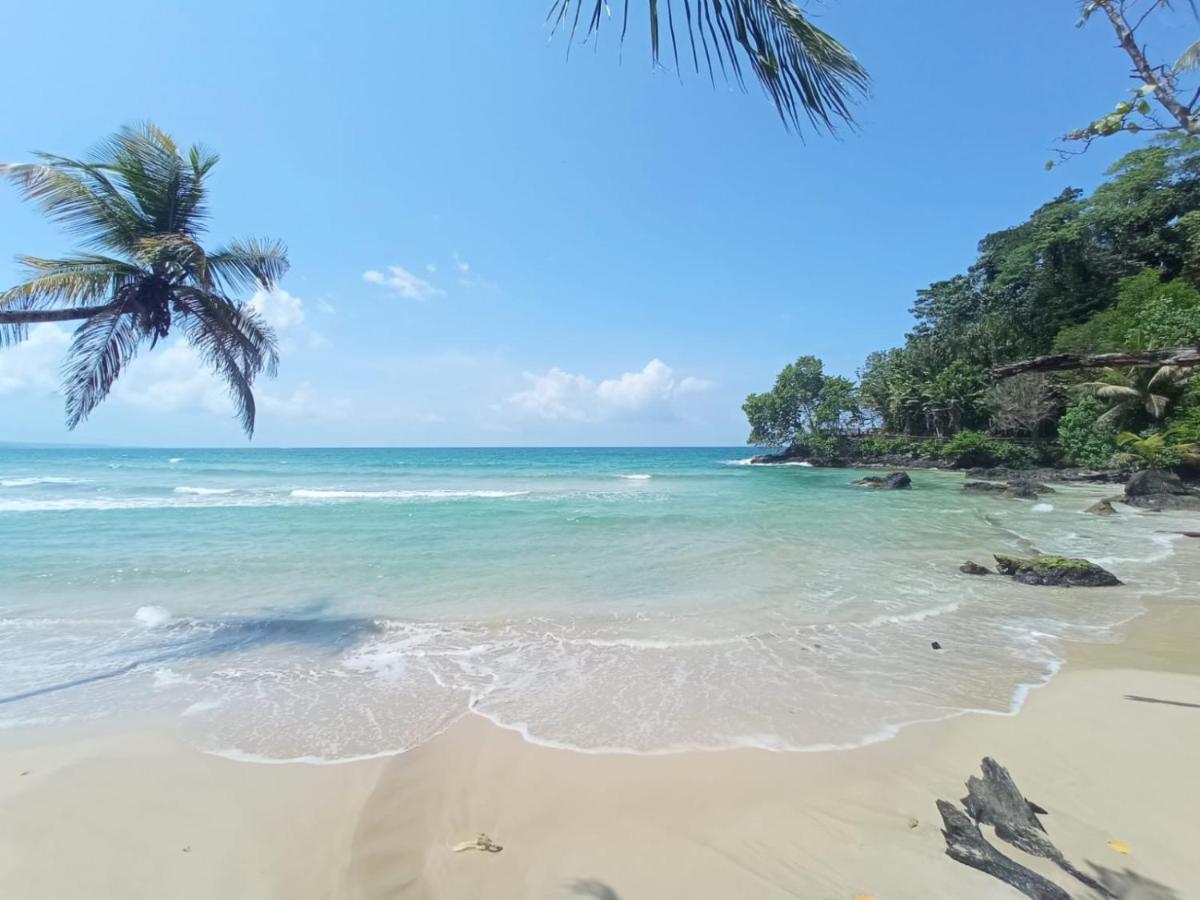 La Luciernaga Big Creek Bed & Breakfast Bocas Town Ngoại thất bức ảnh