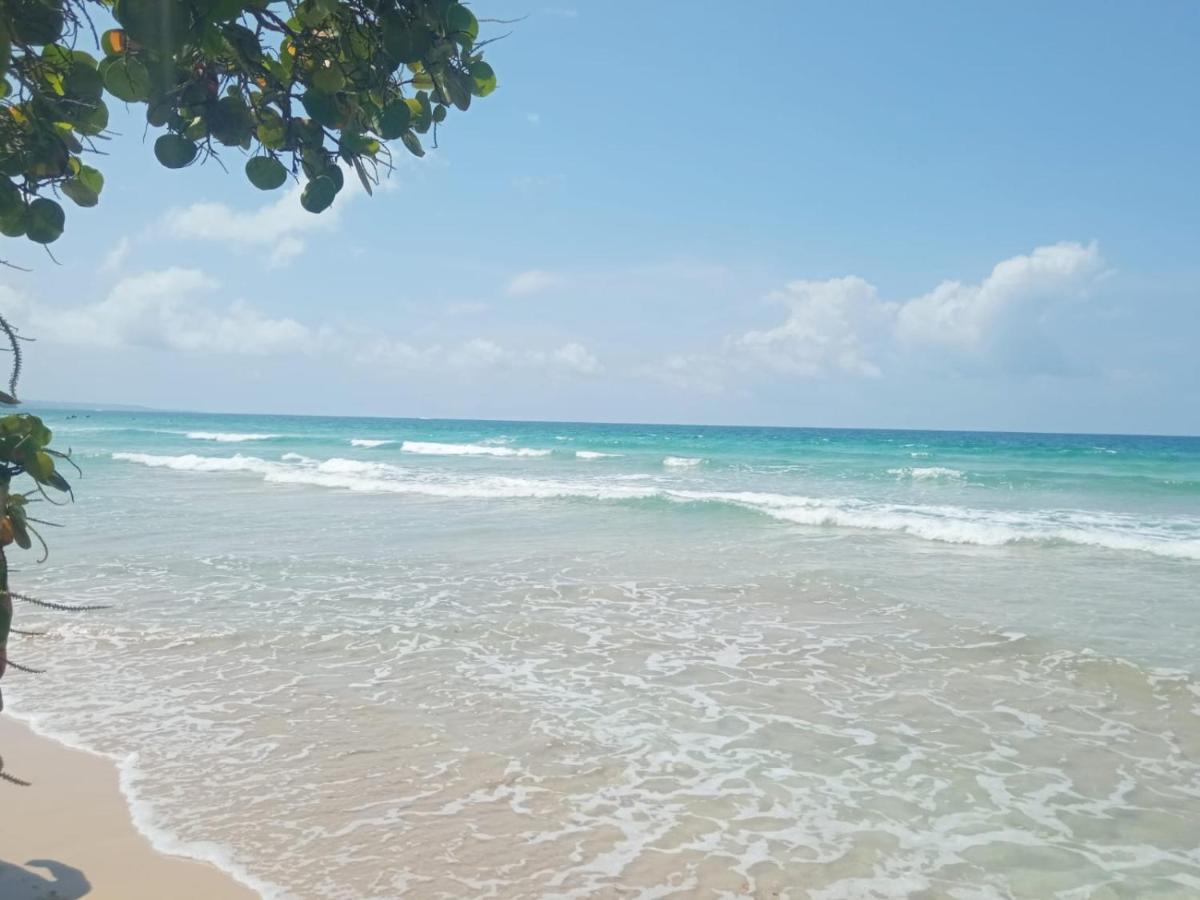 La Luciernaga Big Creek Bed & Breakfast Bocas Town Ngoại thất bức ảnh