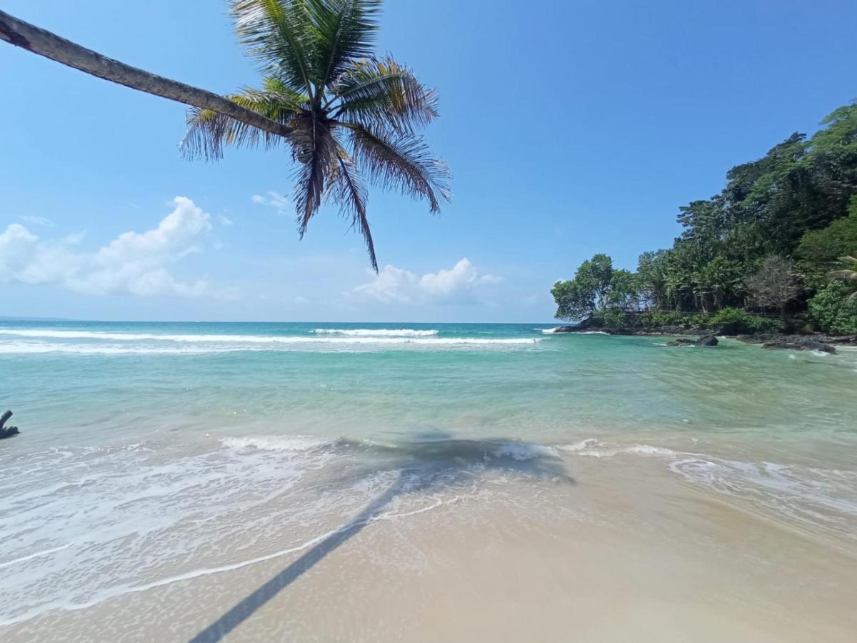 La Luciernaga Big Creek Bed & Breakfast Bocas Town Ngoại thất bức ảnh