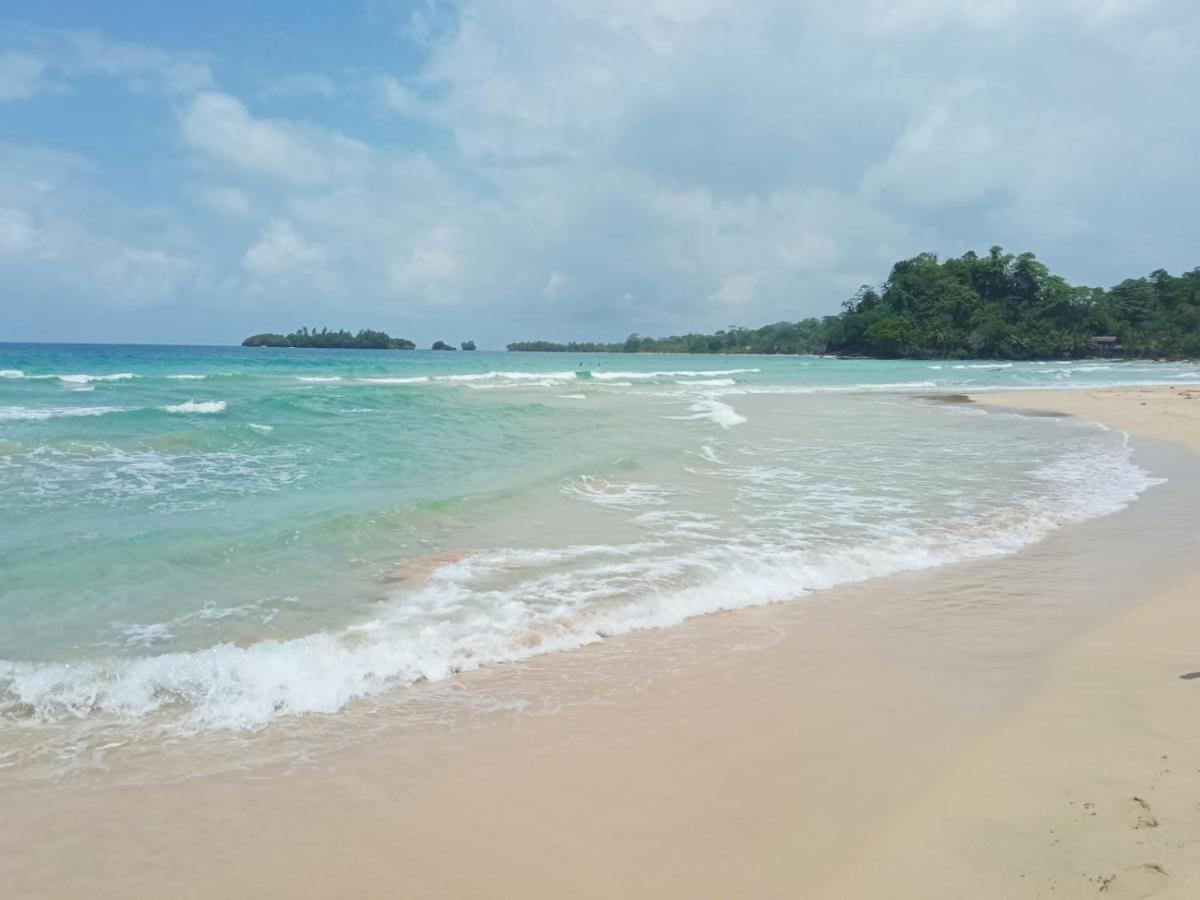 La Luciernaga Big Creek Bed & Breakfast Bocas Town Ngoại thất bức ảnh